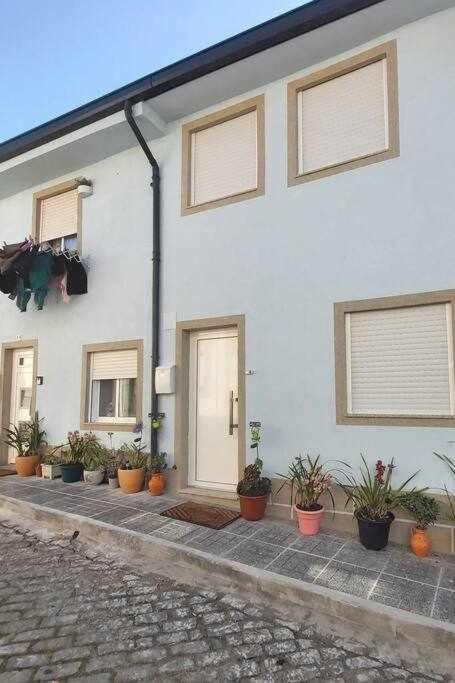 Alto Da Lapa Luxury House Free 1 Parking Place Porto Kültér fotó